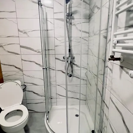 With A Mezzanine In The Center Apartment Posen