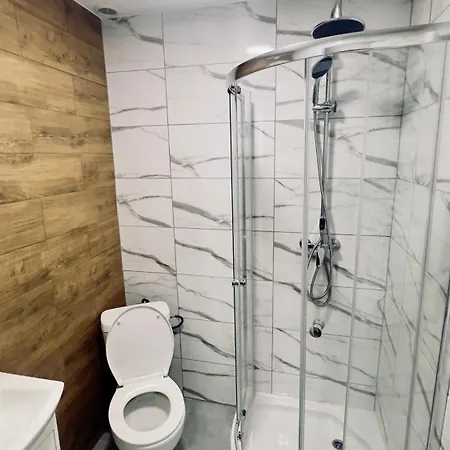 With A Mezzanine In The Center Apartment Posen