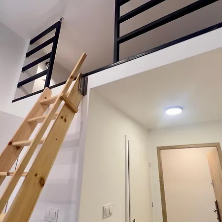 Apartment With A Mezzanine In The Center Posen