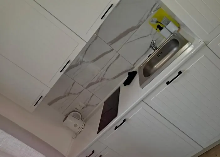 With A Mezzanine In The Center Apartment