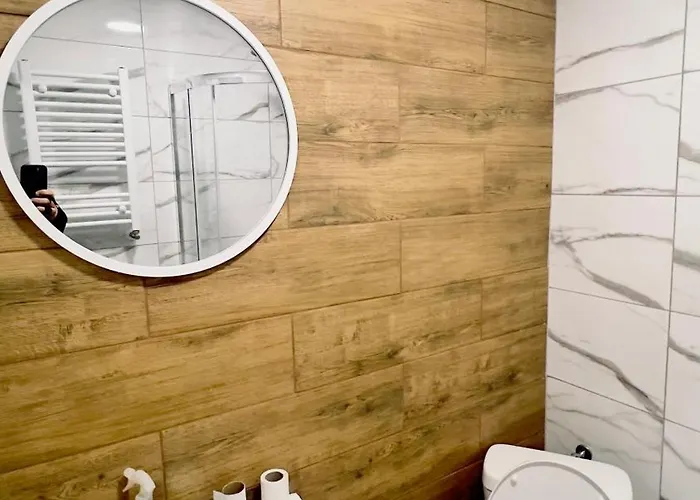 With A Mezzanine In The Center Apartment *