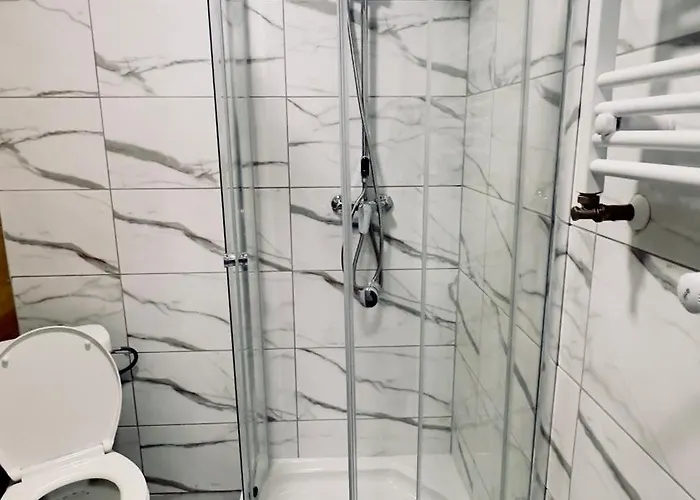 With A Mezzanine In The Center Apartment Posen