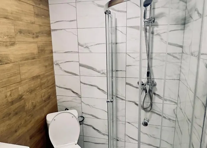 With A Mezzanine In The Center Apartment Posen