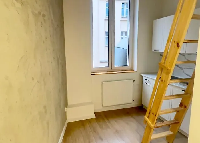 With A Mezzanine In The Center Apartment